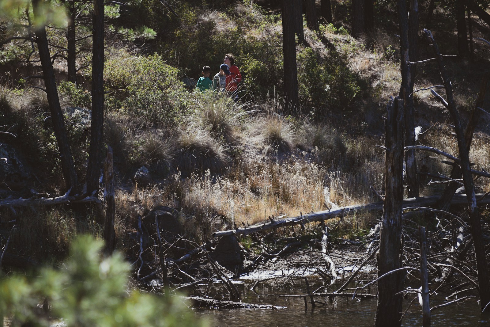 person in red jacket sitting on brown wooden log near river during daytime